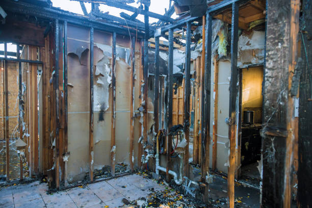 Professional Odor Removal technician working in Hammond, LA